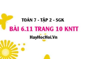 Bài 6.11 trang 10 Toán 7 Tập 2 Kết nối tri thức